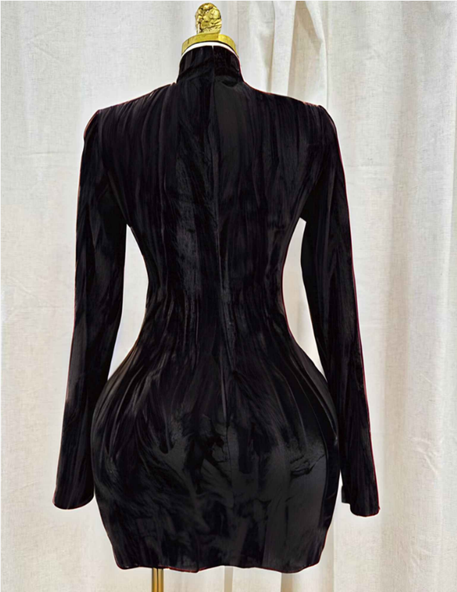 Velvet Muse Dress
