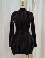 Velvet Muse Dress
