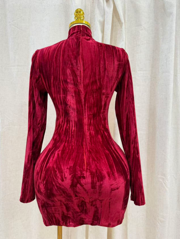 Velvet Muse Dress