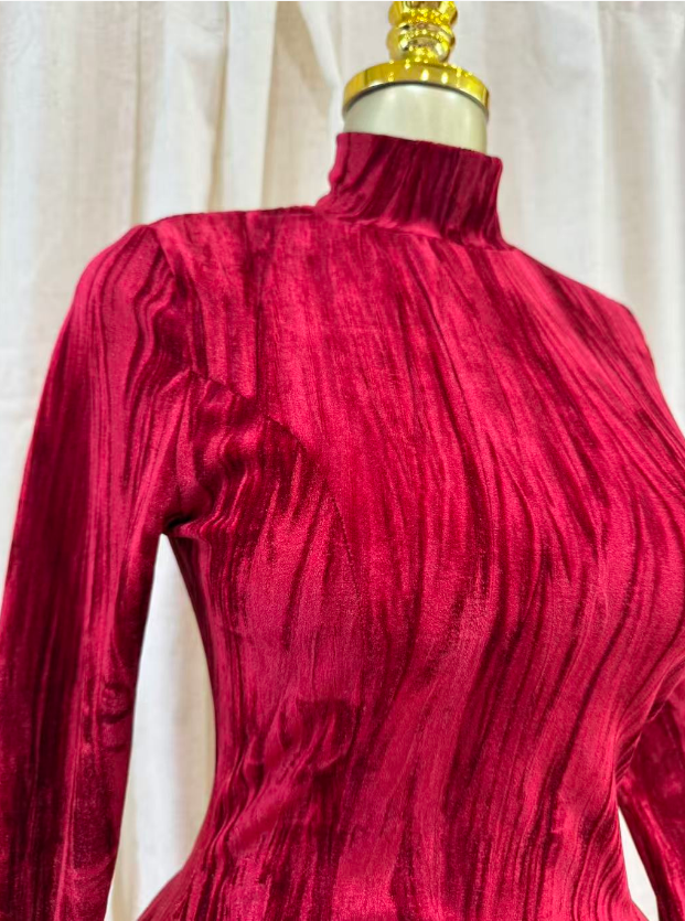 Velvet Muse Dress