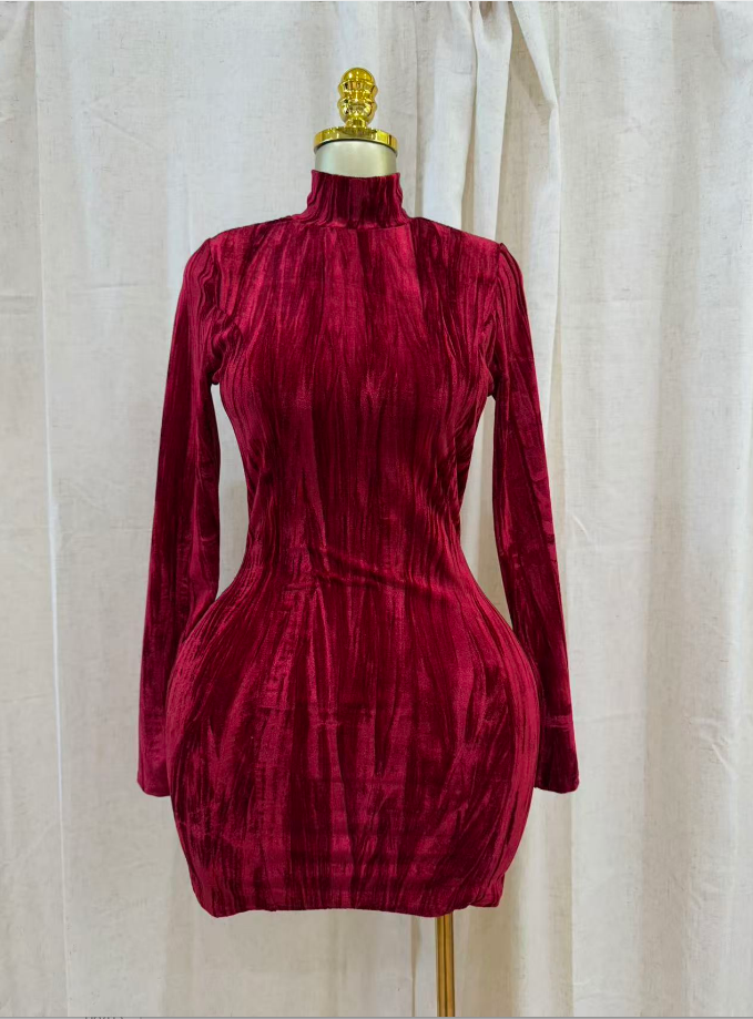Velvet Muse Dress